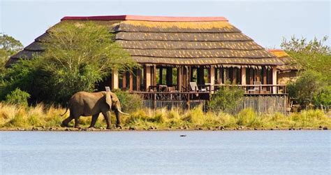  อุทยานแห่งชาติ Kruger: โรงแรมธรรมชาติที่เต็มไปด้วยสัตว์ป่าและความตื่นเต้น