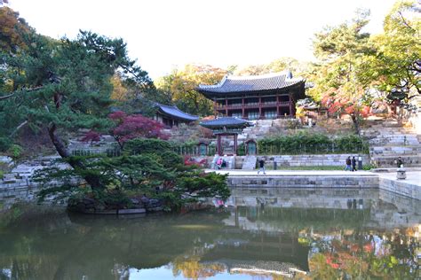  ทริปสุดฟิน! ชมความอลังการของพระราชวัง Changdeokgung